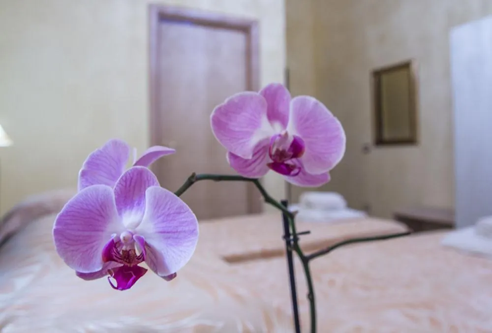 Residenza D'Epoca Giardino Corsini Hotel Florence
